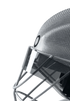 OBO Helmet Blinders PE/FG